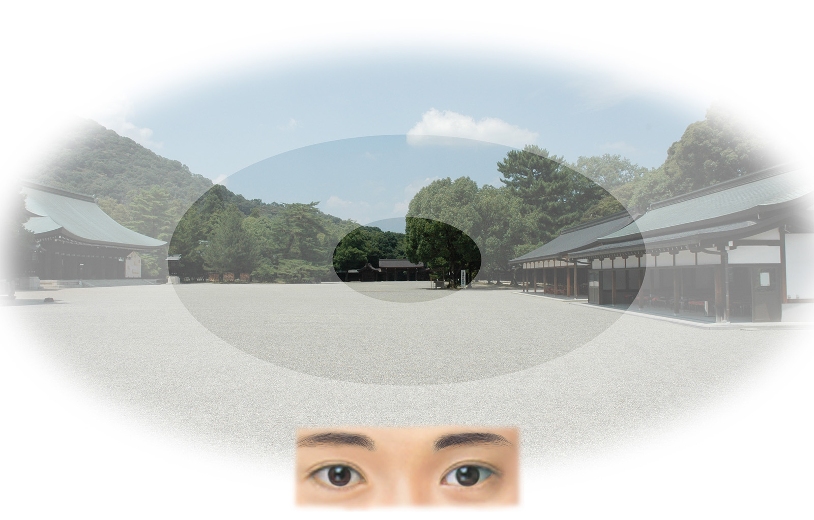 ヒトの目による視野と見え方のイメージ
