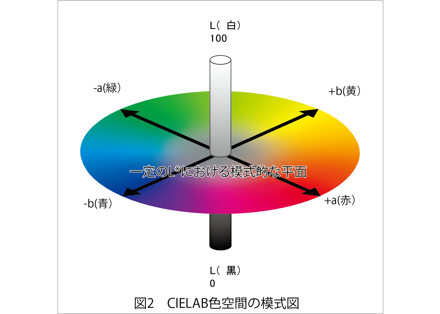 L・a・bの軸で明るさと色みを示したCIELAB色空間の模式図