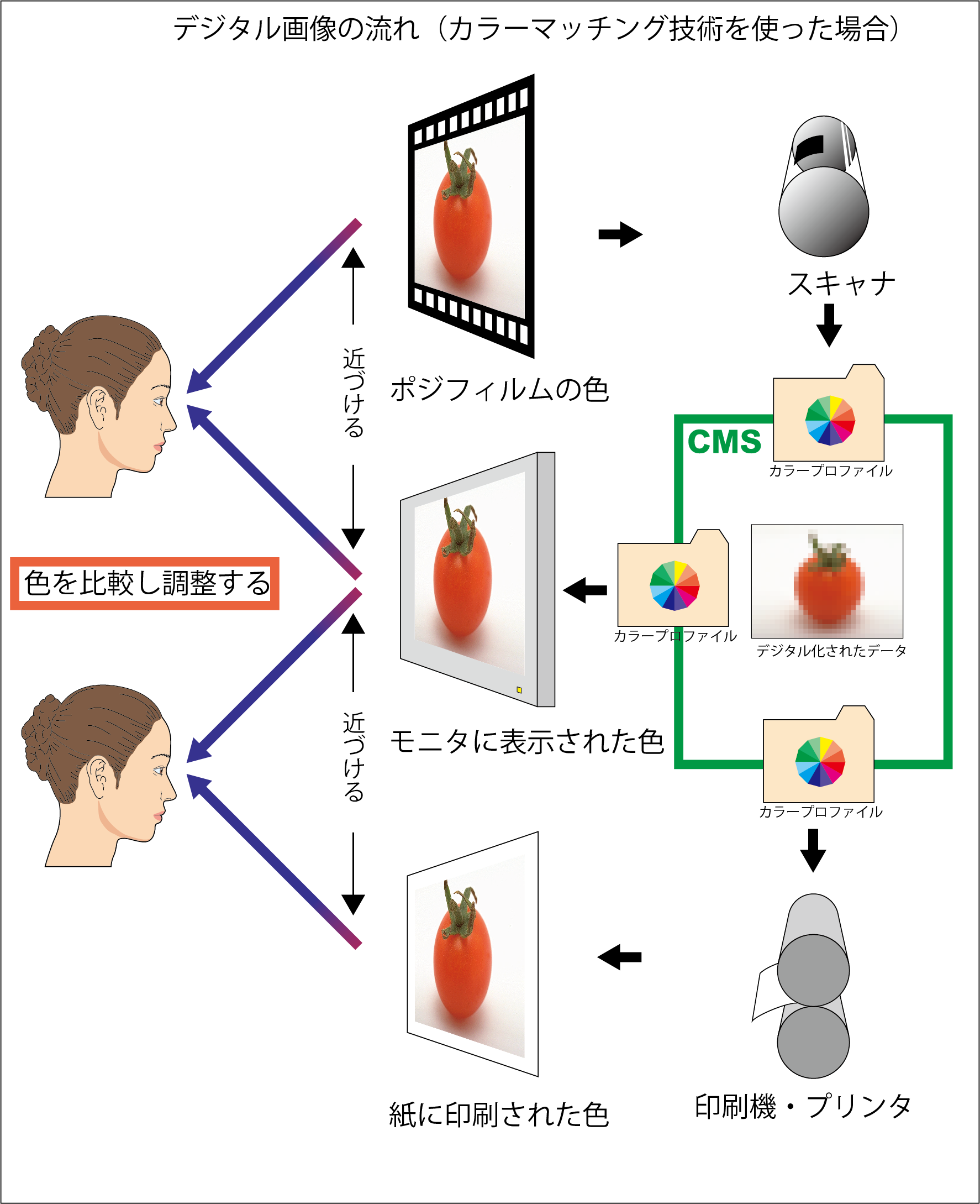 カラープロファイルを使い、観察・表示・印刷の色を近づける流れの図