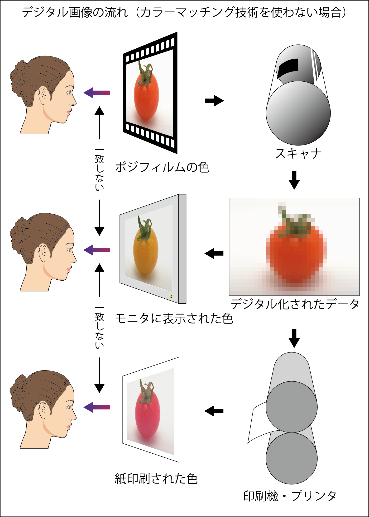 スキャナからモニタ、印刷へと色が一致しない流れの図