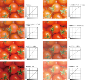 デジタル画像の基礎知識（６）画像の補正と保存形式