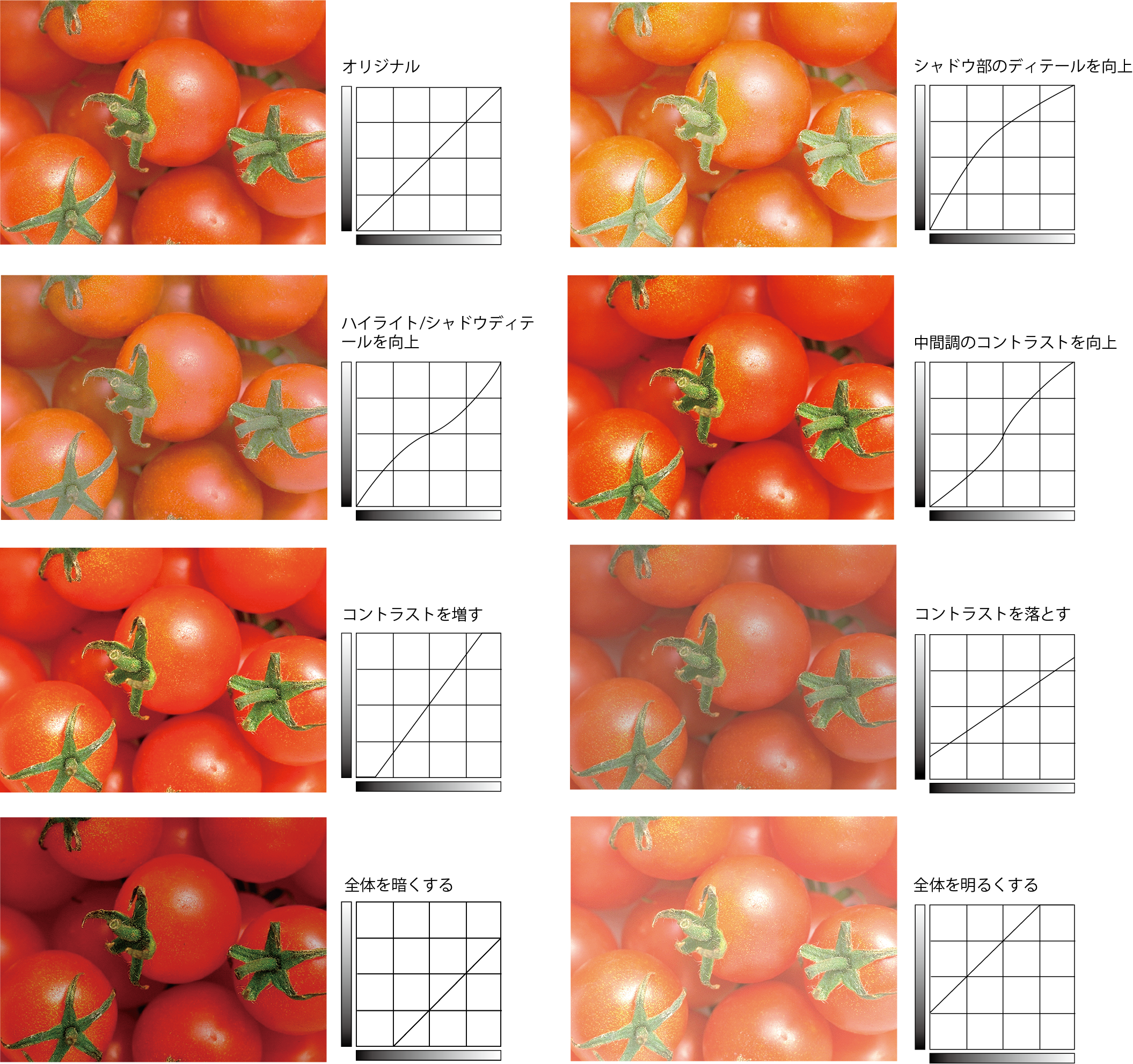 トマトの写真とトーンカーブの組み合わせで、明るさやコントラストの変化を示した図
