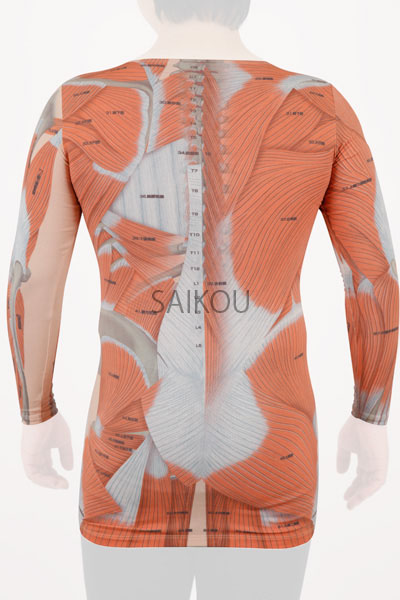 ビジブル筋肉Tシャツ VISIBLE TS-01 背面 装着イメージ