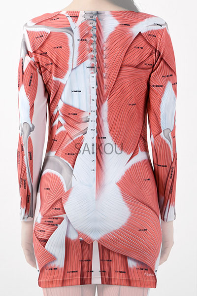 ビジブル筋肉Tシャツ VISIBLE TS-02 背面 装着イメージ